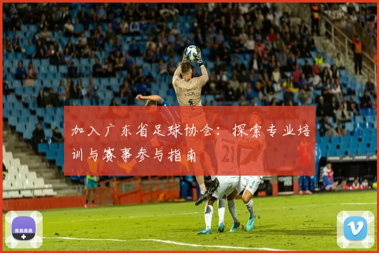 加入广东省足球协会:探索专业培训与赛事参与指南